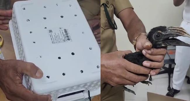 പ​ക്ഷി​ക​ളെ ക​ട​ത്താ​ൻ ശ്ര​മം; ര​ണ്ടു പേ​ർ പി​ടി​യി​ൽ