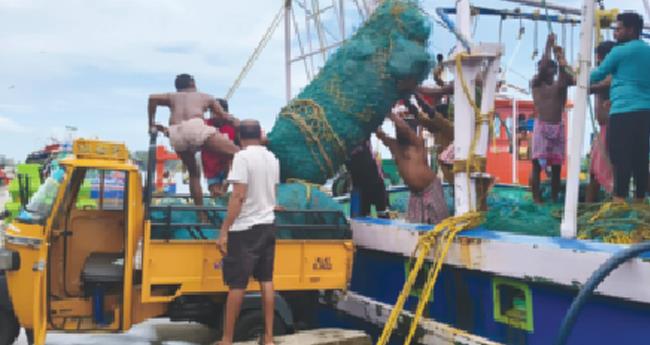 ട്രോ​ളിം​ഗ് നി​രോ​ധ​നം അ​വ​സാ​നി​ക്കു​ന്നു; വ്യാ​ഴാ​ഴ്ച അ​ർ​ധ​രാ​ത്രി മു​ത​ൽ ബോ​ട്ടു​ക​ൾ ക​ട​ലി​ലേ​ക്ക്