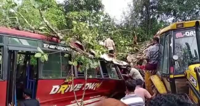 ഓ​ടി​ക്കൊ​ണ്ടി​രു​ന്ന ബ​സി​ന് മു​ക​ളി​ൽ മ​രം വീ​ണു; നി​ര​വ​ധി​പേ​ർ​ക്ക് പ​രി​ക്ക്