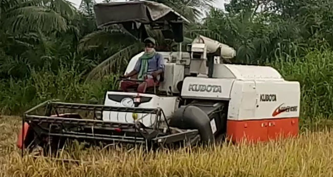 കെ​യ്ക്കോ വാ​ങ്ങി​യ  20 കൊ​യ്ത്തു​മെ​തി​യ​ന്ത്രം  തു​രു​ന്പെ​ടു​ത്തു