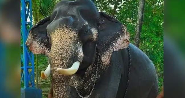 വ​ട​ക്കും​നാ​ഥ​ന്‍ ച​ന്ദ്ര​ശേ​ഖ​ര​ന്‍ ച​രി​ഞ്ഞു
