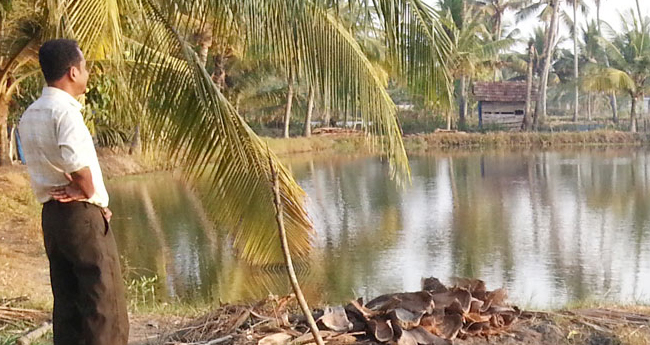 മത്സ്യകര്‍ഷക ഇന്‍ഷ്വറന്‍സിന് പുതുവര്‍ഷത്തില്‍ തുടക്കമാകും