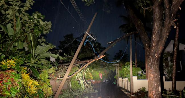 കോ​ഴി​ക്കോട്ട് ചെ​റു​വാ​ടി​യി​ൽ മി​ന്ന​ൽ ചു​ഴ​ലി; മ​ര​ങ്ങ​ൾ ക​ട​പു​ഴ​കി വീ​ണു