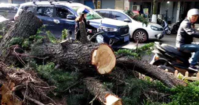 കിഴക്കൻ ചൈനയിൽ കൊടുങ്കാറ്റ്; 11 മരണം