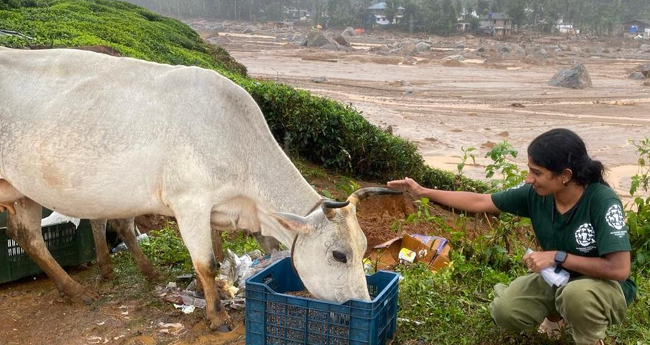 മൃ​​​​ഗ​​​​സം​​​​ര​​​​ക്ഷ​​​​ണ  മേ​​​​ഖ​​​​ല​​​​യി​​​​ൽ 2.5 കോ​​​​ടി രൂ​​​​പ​​​​യു​​​​ടെ ന​​​​ഷ്ടം