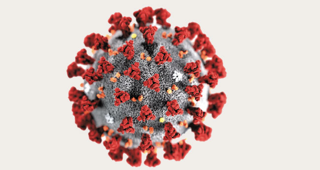 രോഗത്തിനു പുതിയ പേര്: കോവിഡ് -19