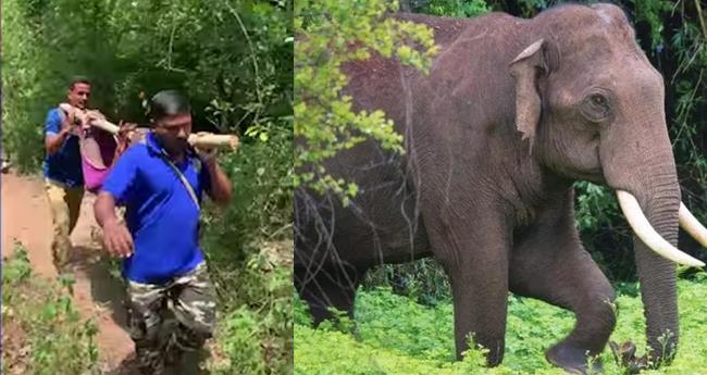 കാ​ട്ടാ​ന ആ​ക്ര​മ​ണ​ത്തി​ൽ പ​രി​ക്കേ​റ്റയാൾ ​മരി​ച്ചു