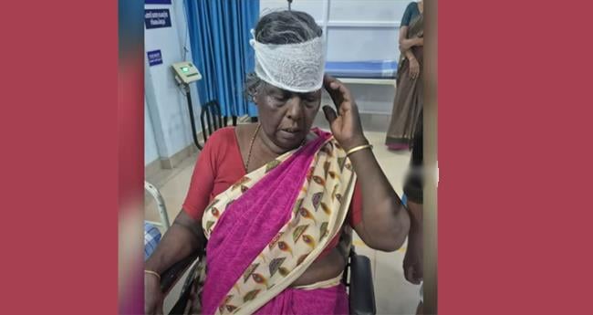 കോ​ഴി​ക്കോ​ട് കാ​ട്ടു​പ​ന്നി ആ​ക്ര​മ​ണം; തൊ​ഴി​ലു​റ​പ്പ് തൊ​ഴി​ലാ​ളി​ക്ക് പ​രി​ക്ക്