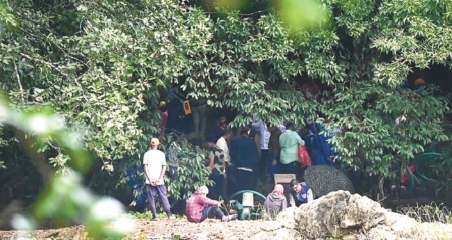 ചുരുളഴിഞ്ഞ് ധർമസ്ഥല; വ​ന​ത്തി​ൽനിന്ന് അ​സ്ഥി​കൂ​ട  ഭാ​ഗ​ങ്ങ​ൾ ക​ണ്ടെ​ടു​ത്തു