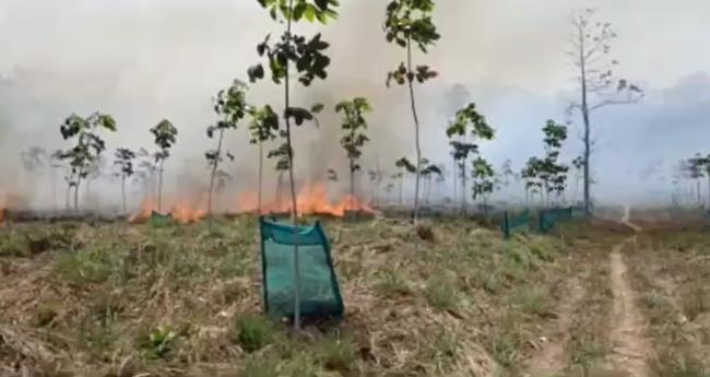 ധോ​ണി അ​രി​മ​ണി എ​സ്റ്റേ​റ്റി​ൽ വ​ൻ അ​ഗ്നി​ബാ​ധ: ല​ക്ഷ​ങ്ങ​ളു​ടെ ന​ഷ്ടം