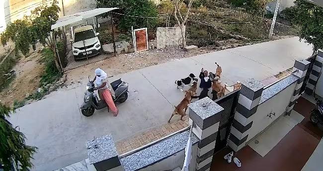 കൗ​മാ​ര​ക്കാ​രി​ക്ക് നേ​രെ തെ​രു​വ് നാ​യ ആ​ക്ര​മ​ണം