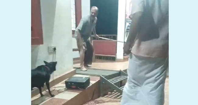 നായയ്ക്ക് എന്ത് നാടകം...; തെ​രു​വുനാ​യ ശല്യത്തിനെതിരേയുള്ള  നാടകത്തിനിടെ നടനെ നായ സ്റ്റേജിൽ കയറി കടിച്ചു