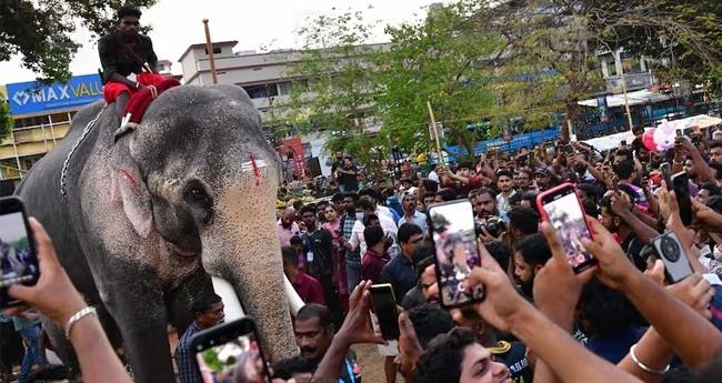 ഫി​റ്റ്‌​നെ​സ് ടെ​സ്റ്റ് പാ​സാ​യി; തെ​ച്ചി​ക്കോ​ട്ടു​കാ​വ് രാ​മ​ച​ന്ദ്ര​ൻ തൃ​ശൂ​ര്‍ പൂ​ര​ത്തി​ന് തി​ട​ന്പേ​റ്റും