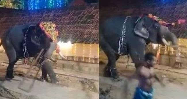 എ​ഴു​ന്ന​ള്ളി​പ്പി​നി​ട​യി​ല്‍ ആ​ന ഇ​ട​ഞ്ഞു; ചു​റ്റ​മ്പ​ലം ത​ക​ര്‍​ത്തു