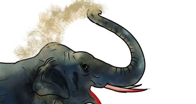 കാ​ട്ടാ​ന​ക​ൾ ത​മ്മി​ൽ ഏ​റ്റു​മു​ട്ടി, ഒ​രാ​ന ച​രി​ഞ്ഞു