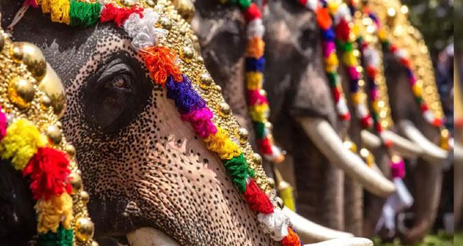 ആ​ന​യെ​ഴു​ന്ന​ള്ളി​പ്പ് ച​ട്ടം പാ​ലി​ച്ച് ന​ട​ത്താ​മെ​ന്ന് സു​പ്രീം​കോ​ട​തി