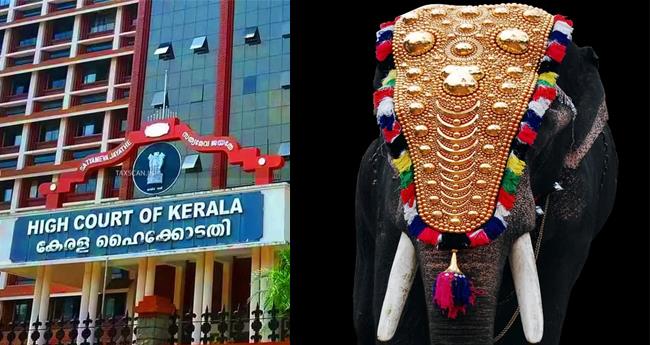 ആ​ന എ​ഴു​ന്ന​ള്ളി​പ്പ്; വി​ശ​ദ​മാ​യ മാ​ർ​ഗ​നി​ർ​ദേശ​ങ്ങ​ളു​മാ​യി ഹൈ​ക്കോട​തി