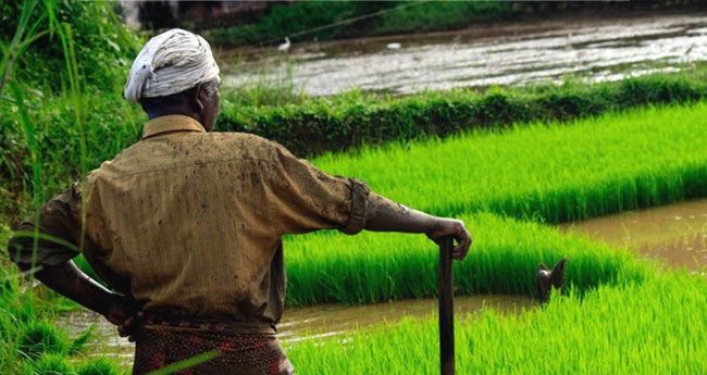 പാ​ലാ രൂ​പ​ത വൻ ക​ര്‍​ഷ​കപ്ര​ക്ഷോ​ഭ​ത്തി​ന്; ക​ര്‍​ഷ​കമ​തി​ലും മ​ഹാ​സം​ഗ​മ​വും