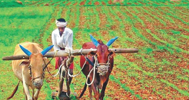 സം​യോ​ജി​ത​ കൃ​ഷി:   14,000 പേർക്കു ധ​ന​സ​ഹാ​യം