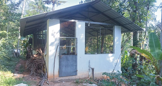 ദു​​രൂ​​ഹ​​ത നി​​റ​​ഞ്ഞ് ഒ​​ഴു​​കു​​പാ​​റ​​യി​​ലെ ഫാം