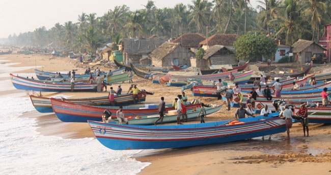 മ​ത്സ്യ​ത്തൊ​ഴി​ലാ​ളി​ക​ളു​ടെ തൊ​ഴി​ൽ, ആ​വാ​സം; നി​യ​മ​നി​ർ​മാ​ണം വേ​ണ​മെ​ന്ന് ആ​വ​ശ്യം