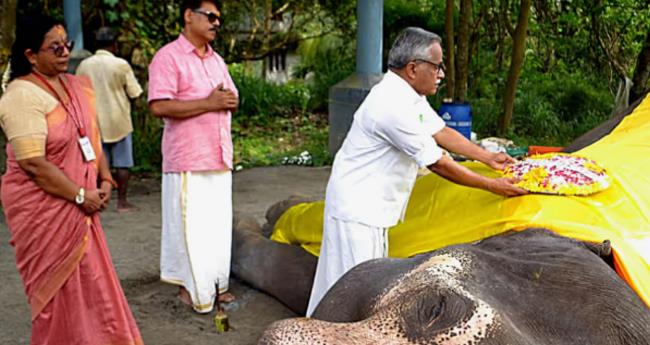 ഗു​രു​വാ​യൂ​ര്‍ ആ​ന​ക്കോ​ട്ട​യി​ലെ കൊ​മ്പ​ന്‍ ഗോ​കു​ല്‍ ച​രി​ഞ്ഞു