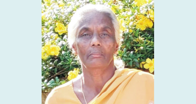 കാ​ട്ടു​പ​ന്നി​ക്കു വ​ച്ച വൈ​ദ്യു​ത​ക്കെ​ണി​യി​ൽനി​ന്നു ഷോ​ക്കേ​റ്റ് വീ​ട്ട​മ്മ മ​രി​ച്ചു