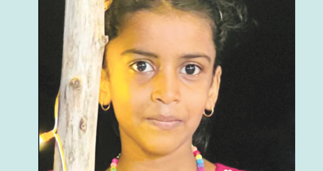 വളർത്തുപൂച്ചയുടെ കടിയേറ്റ്  വിദ്യാർഥിനി മരിച്ചു