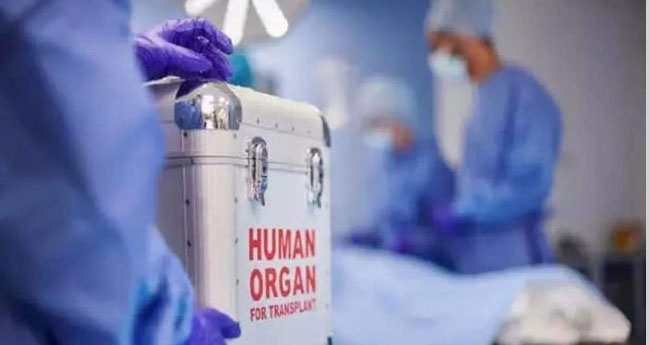 അവയവദാതാക്കളുടെ സംസ്കാരവേളകളിൽ  ഔദ്യോഗിക ബഹുമതി നൽകാൻ തമിഴ്നാട്