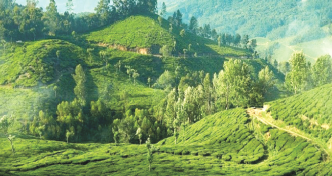 പുതിയ നിർമാണങ്ങൾക്ക്  ഇനിയും കടന്പ