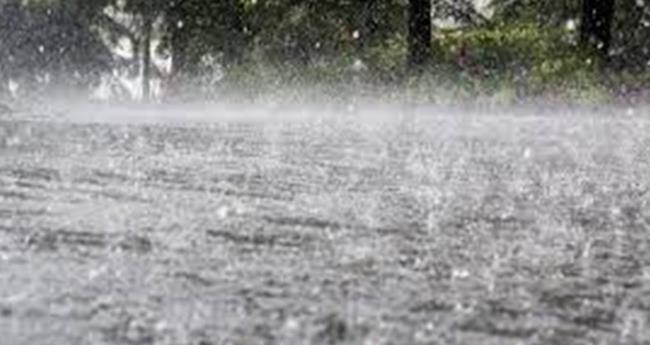 ഇ​ടു​ക്കി​യി​ൽ ശ​ക്ത​മാ​യ മ​ഴ തു​ട​രു​ന്നു; ക​ല്ലാ​ർ ഡാം ​തു​റ​ന്നു