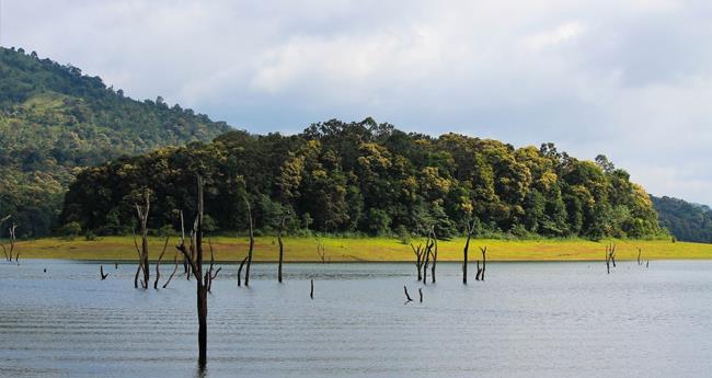 ഇ​ടു​ക്കി​യി​ലെ വി​നോ​ദ സ​ഞ്ചാ​ര​കേ​ന്ദ്ര​ങ്ങ​ളി​ലെ നി​യ​ന്ത്ര​ണ​ങ്ങ​ൾ പി​ൻ​വ​ലി​ച്ചു