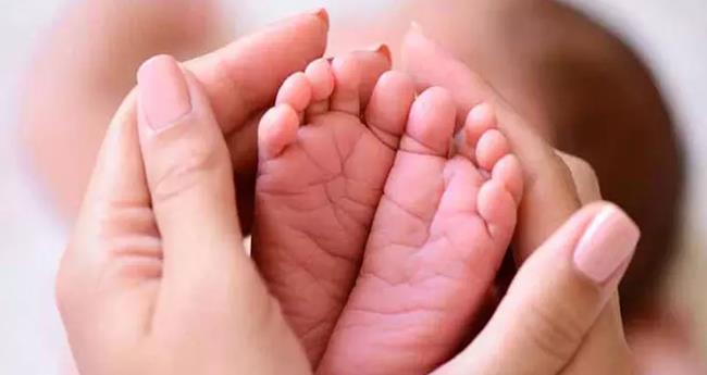 അ​മ്മ​ത്തൊ​ട്ടി​ലി​ൽ ഒ​രു​ദി​വ​സം മൂ​ന്ന് കു​ഞ്ഞു​ങ്ങ​ളെ​ത്തി
