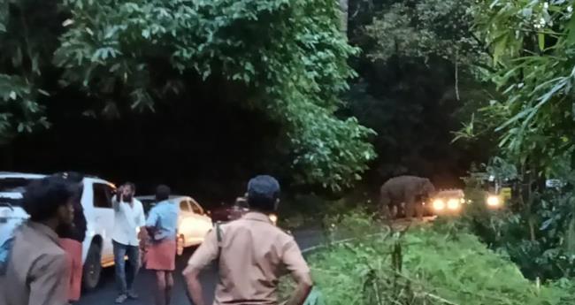 ക​ബാ​ലി​യെ വാ​ഹ​നം ഇ​ടി​പ്പി​ച്ച് പ്ര​കോ​പ​നം ഉ​ണ്ടാ​ക്കാ​ൻ ശ്ര​മി​ച്ച സം​ഭ​വം; ന​ട​പ​ടി​യെ​ടു​ക്കാ​ൻ വ​നം​വ​കു​പ്പ്