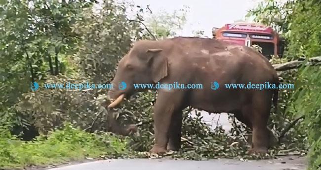 ക​ബാ​ലി റോ​ഡ് ത​ട​ഞ്ഞു; യാ​ത്ര​ക്കാ​ർ കു​ടു​ങ്ങി