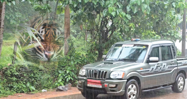 ക​ടു​വ കാ​ണാ​മ​റ​യ​ത്ത്; ര​ണ്ടാം ദി​ന​വും ദൗത്യസംഘം മ​ട​ങ്ങി