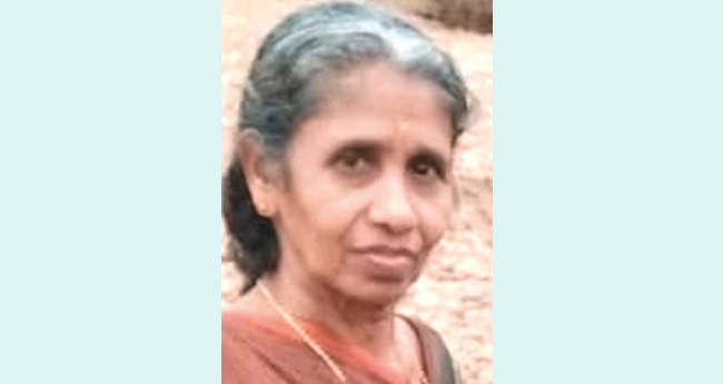 കാട്ടാനക്കലി; വനപാലകരുടെ ജാഗ്രതക്കുറവിൽ  പൊലിഞ്ഞത് വീട്ടമ്മയുടെ ജീവൻ