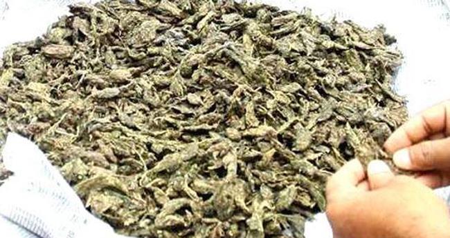 റെ​യി​ല്‍​വേ സ്റ്റേ​ഷ​നി​ല്‍ നി​ന്ന്  ക​ഞ്ചാ​വ് പി​ടി​കൂ​ടി