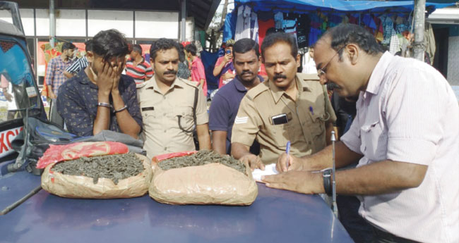 നാ​ലു കി​ലോ ക​ഞ്ചാ​വു​മാ​യി യു​വാ​വ് പി​ടി​യി​ൽ