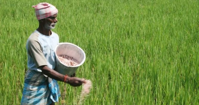 അട്ടിമറിഭീഷണിയിൽ ക​ർ​ഷ​ക പെ​ൻ​ഷ​ൻ പ​ദ്ധ​തി