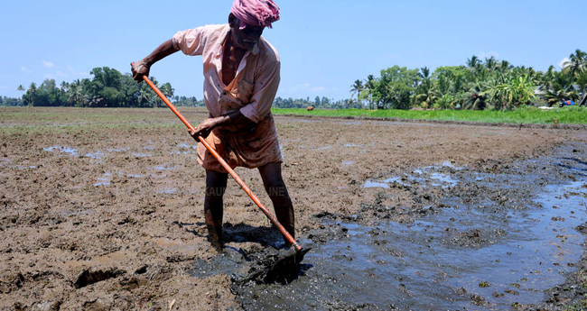 ക​ർ​ഷ​ക പെ​ൻ​ഷ​ൻ പ​ദ്ധ​തി നിലച്ചു