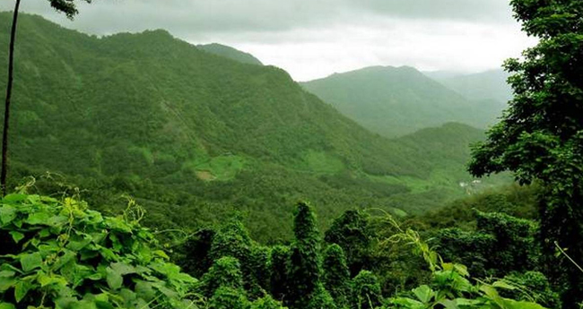 ഇഎസ്എ കരടു വിജ്ഞാപനത്തിന്‍റെ  കാലാവധി രണ്ടു മാസംകൂടി