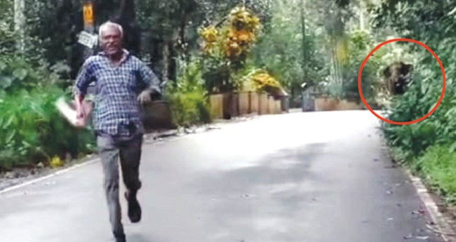 ടാ​പ്പിം​ഗ് തൊ​ഴി​ലാ​ളി​ക്കുനേ​രേ പാഞ്ഞടുത്ത് കാ​ട്ടാ​ന​ക്കൂ​ട്ടം