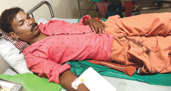 കാ​ട്ടു​പ​ന്നിയുടെ ആ​ക്ര​മ​ണ​ത്തി​ൽ  മൂ​ന്നു​പേ​ർ​ക്കു പ​രി​ക്ക്