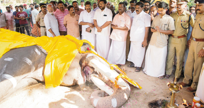 ഏ​ക്ക​ത്തു​ക​യി​ലെ റി​ക്കാ​ർ​ഡു​കാ​ര​ൻ