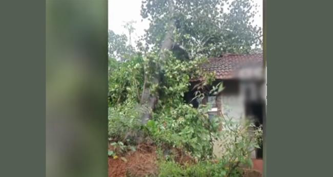 പേ​രാ​മ്പ്ര​യി​ല്‍ ചു​ഴ​ലി​ക്കാ​റ്റ്; നി​ര​വ​ധി വീ​ടു​ക​ളു​ടെ മേ​ല്‍​ക്കൂ​ര ത​ക​ര്‍​ന്നു