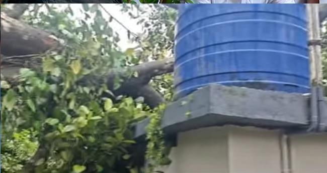 ക​ന​ത്ത മ​ഴ; കോ​ത​മം​ഗ​ല​ത്ത് വ​ന്‍ നാ​ശ​ന​ഷ്ടം
