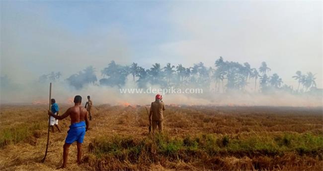 കോട്ടയത്ത് കൊയ്ത്തു കഴിഞ്ഞ പാടശേഖരത്ത് തീപിടിത്തം