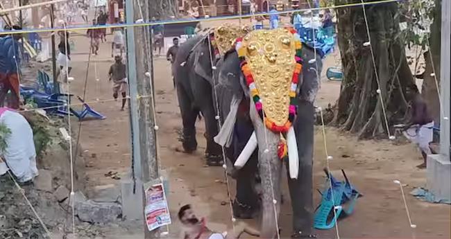 കോ​ഴി​ക്കോ​ട് ജി​ല്ല​യി​ൽ ആ​ന എ​ഴു​ന്ന​ള്ളി​പ്പു​ക​ള്‍ നി​ർ​ത്തി​വ​യ്ക്കാ​ൻ നി​ർ​ദേ​ശം; തീ​രു​മാ​നം മോ​ണി​റ്റ​റിം​ഗ് ക​മ്മി​റ്റി​യു​ടേ​ത്