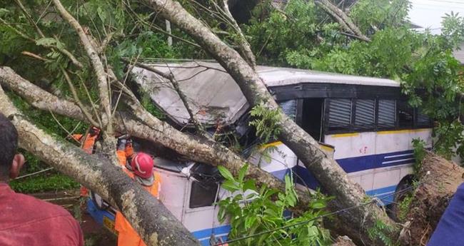 ഓ​ടി​ക്കൊ​ണ്ടി​രു​ന്ന കെ​എ​സ്ആ​ർ​ടി​സി ബ​സി​നു മു​ക​ളി​ൽ മ​രം വീ​ണു; 15 പേ​ർ​ക്ക് പ​രി​ക്ക്
